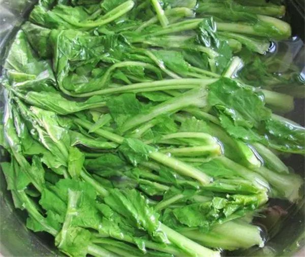 苔菜为什么吃前要焯一下水 焯水是为了去除有害物质