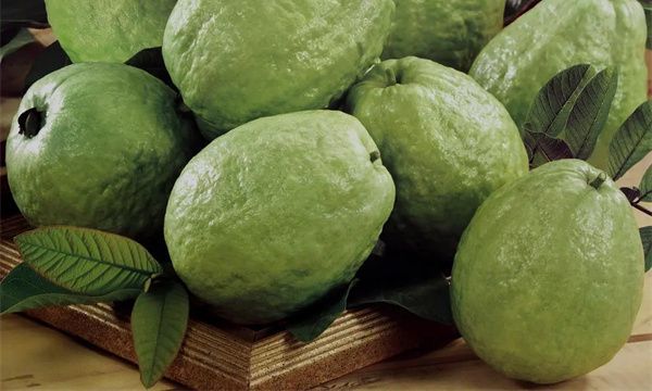 吃芭乐时里面的籽要去掉吗 吃芭乐时籽不需要去掉
