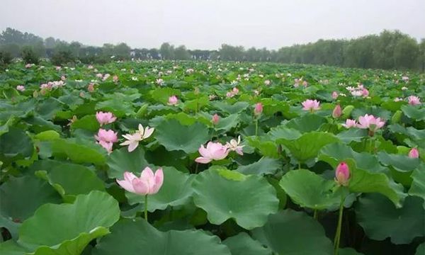 金湖县属于哪个市 金湖县属于淮安市