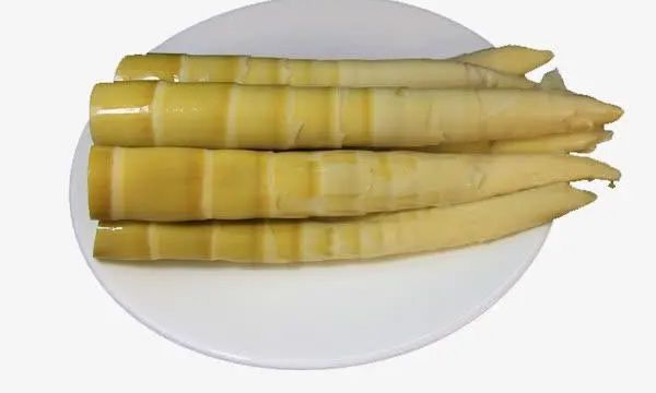 酸笋的做法怎么腌制制作方法 制作酸笋的注意事项