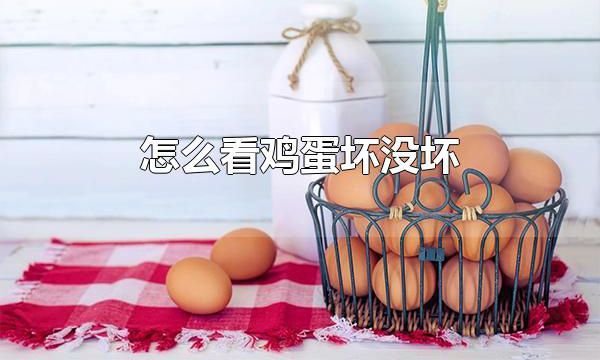 怎么看鸡蛋坏没坏 鸡蛋变质能吃吗