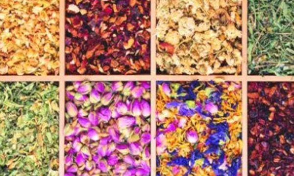 花茶有几种哪种花茶最好 花茶是什么