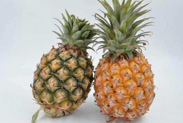 菠萝和凤梨的区别在哪里 菠萝和凤梨是什么水果
