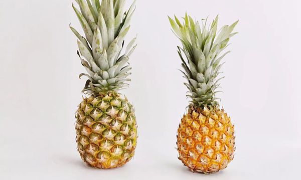菠萝和凤梨的区别在哪里 菠萝和凤梨是什么水果
