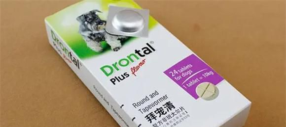 拜耳驱虫药怎么吃 给狗狗吃拜耳驱虫药需要禁食吗