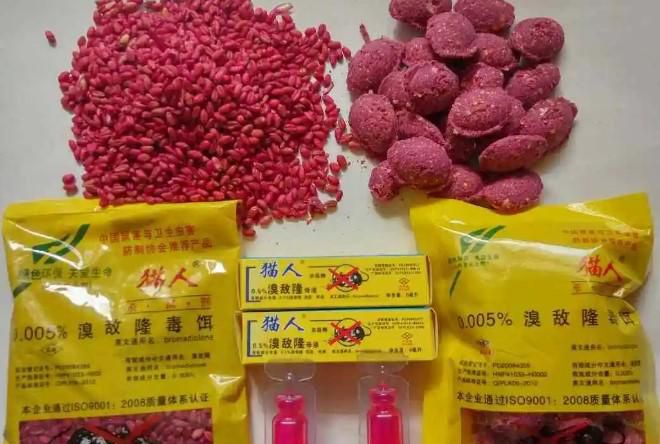 家里有一个老鼠怎么做