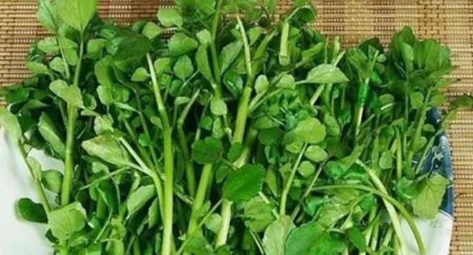 吃豆瓣菜的好处