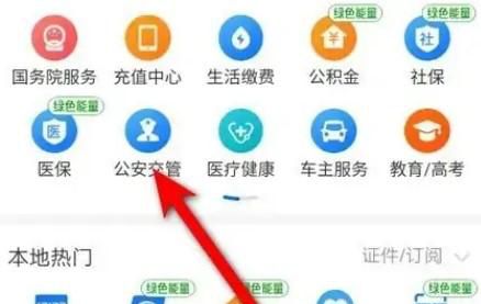 查车违章如何查