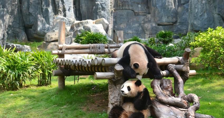 什么时候去动物园比较好