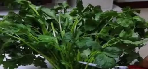 绿叶蔬菜要怎么保存