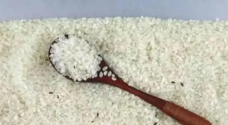 米面生虫子了怎么办