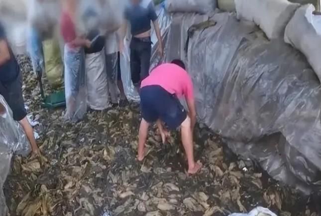 老坛酸菜怎么又上架了
