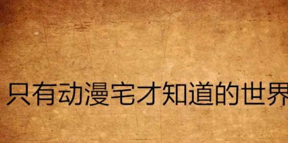 只有会员才知道的世界是什么梗