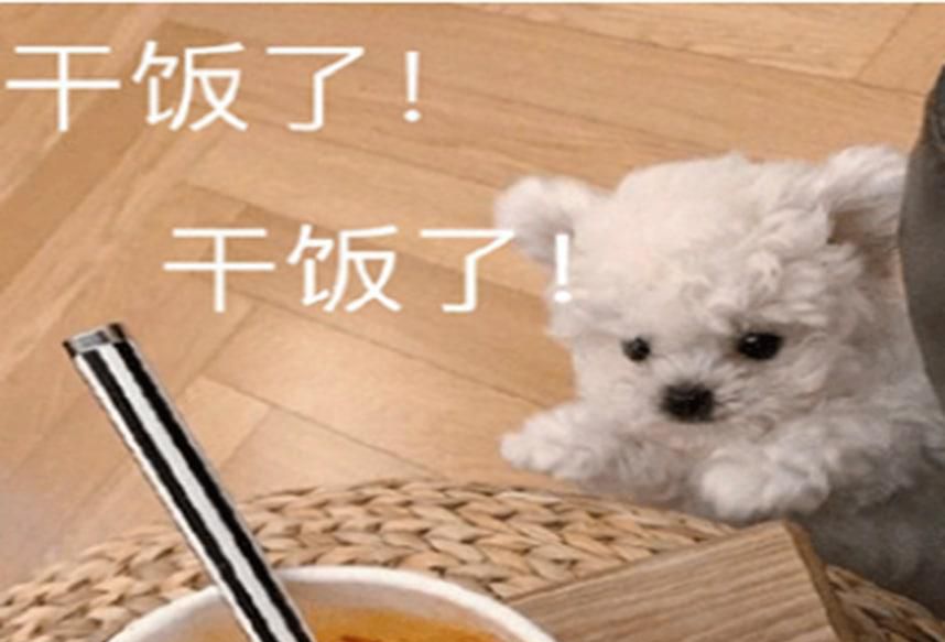 干饭人什么梗