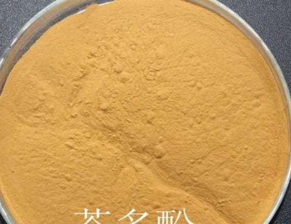 纯天然的防腐剂有吗