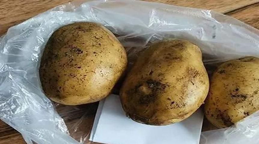 土豆如何保存才不发绿