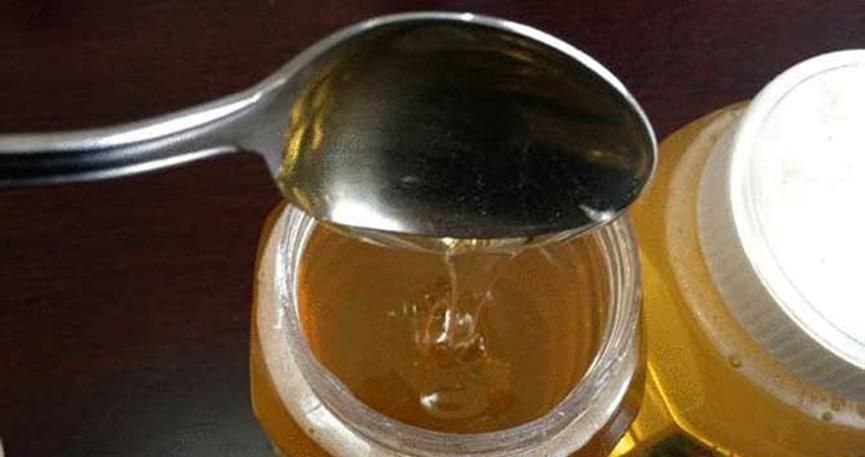 如何来辨别枇杷蜜的真假