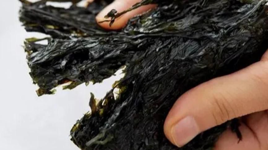辨别新鲜的紫菜有什么方法