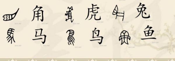 甲骨文为什么没有夏