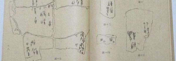 甲骨文为什么叫甲骨文