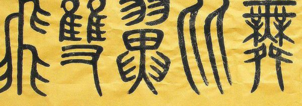 甲骨文与金文的异同