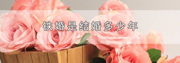 铁婚是结婚多少年