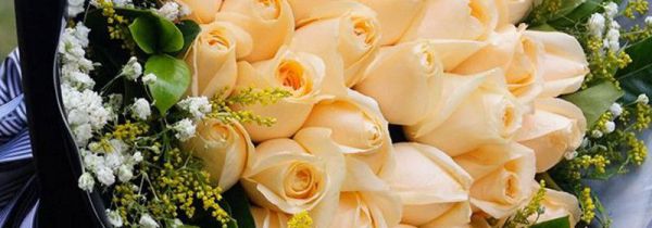 结婚用多少朵玫瑰花