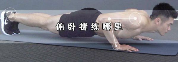 俯卧撑练哪里