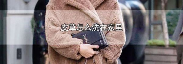 皮草怎么洗在家里
