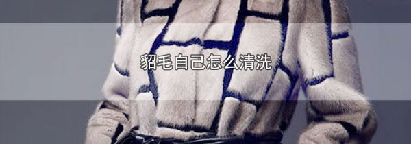 貂毛自己怎么清洗