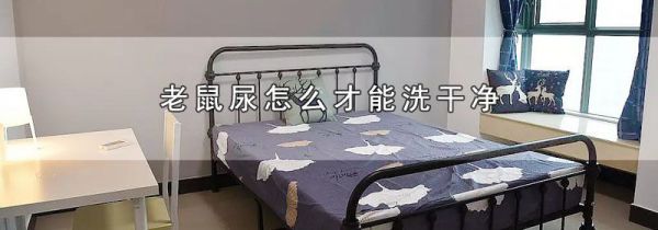 老鼠尿怎么才能洗干净