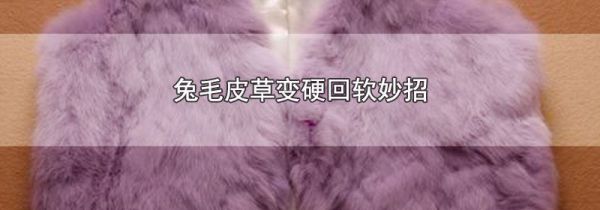 兔毛皮草变硬回软妙招