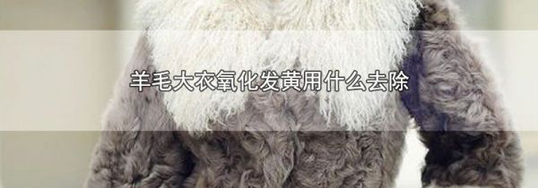 羊毛大衣氧化发黄用什么去除
