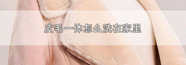 皮毛一体怎么洗在家里