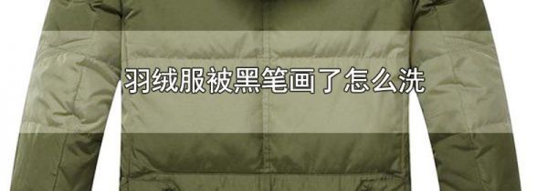羽绒服被黑笔画了怎么洗