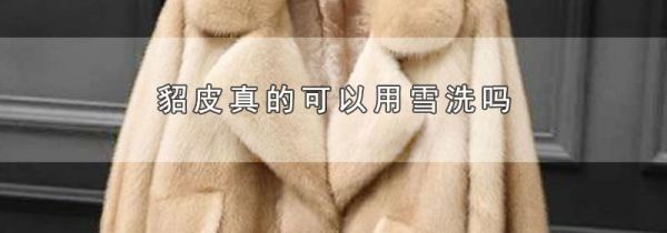 貂皮真的可以用雪洗吗