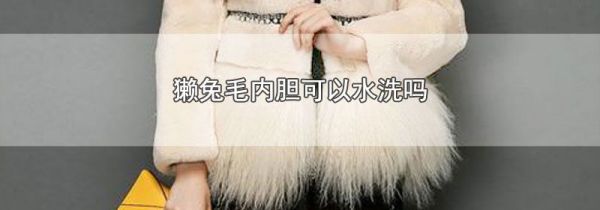 獭兔毛内胆可以水洗吗