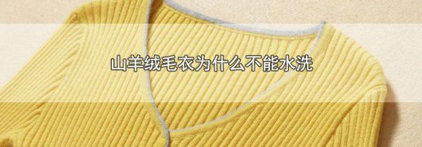 山羊绒毛衣为什么不能水洗