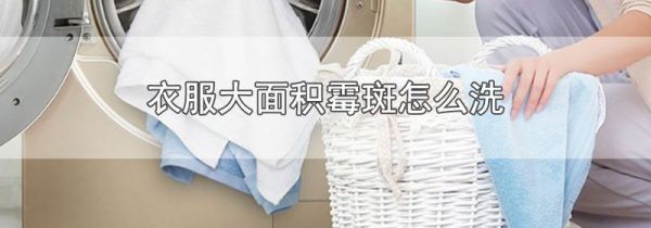 衣服大面积霉斑怎么洗