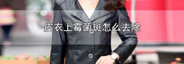 皮衣上霉菌斑怎么去除