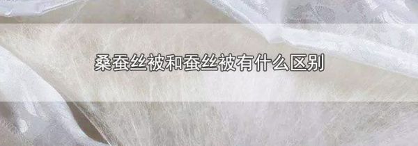 桑蚕丝被和蚕丝被有什么区别