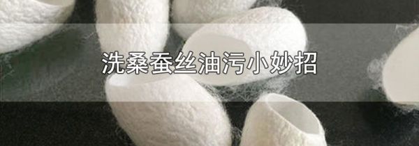 洗桑蚕丝油污小妙招