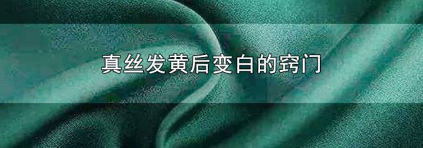 真丝发黄后变白的窍门