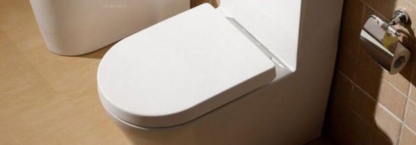 马桶后面两个孔冒臭气