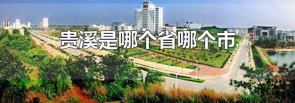 贵溪是哪个省哪个市 贵溪的面积有多大