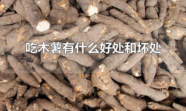 吃木薯有什么好处和坏处 木薯如何食用
