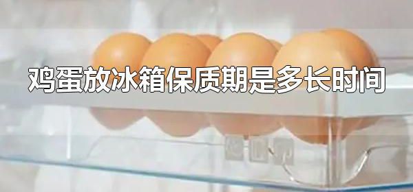 鸡蛋放冰箱保质期是多长时间 鸡蛋可以做成什么食物