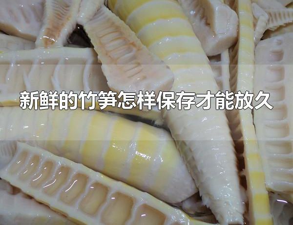 新鲜的竹笋怎样保存才能放久 新鲜竹笋可放于冰箱冷藏区保存