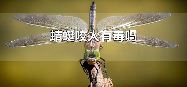 蜻蜓咬人有毒吗 蜻蜓对人类有什么作用