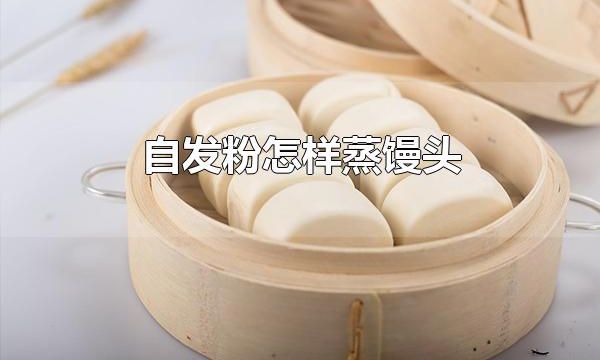 自发粉怎样蒸馒头 蒸馒头一般蒸多长时间